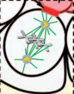 Manuscript illustration: Centrosome function: sometimes less is more