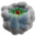 Manuscript illustration: Tubulin nucleotide status controls Sas-4-dependent pericentriolar material recruitment